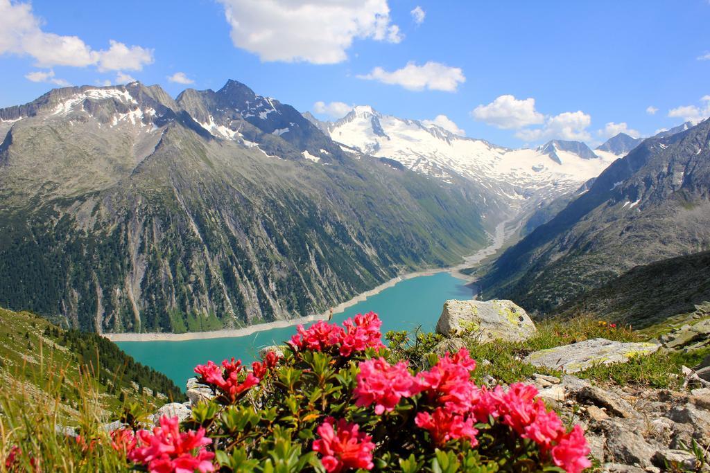 Alpen Appartements Hochmuth Mayrhofen Cameră foto